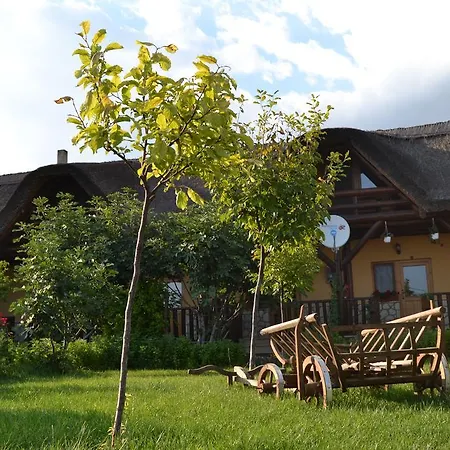 Pensiunea Heracleea 3*