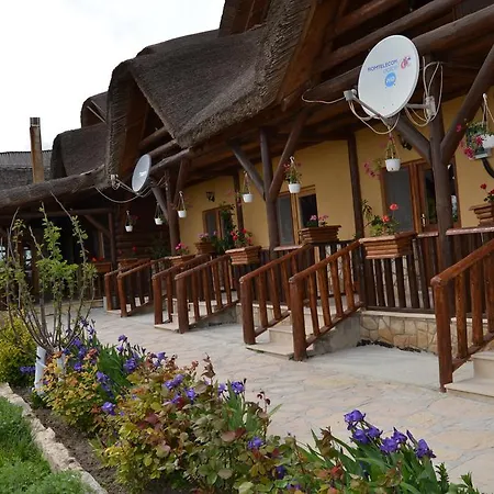 Pensionat Pensiunea Heracleea 3*