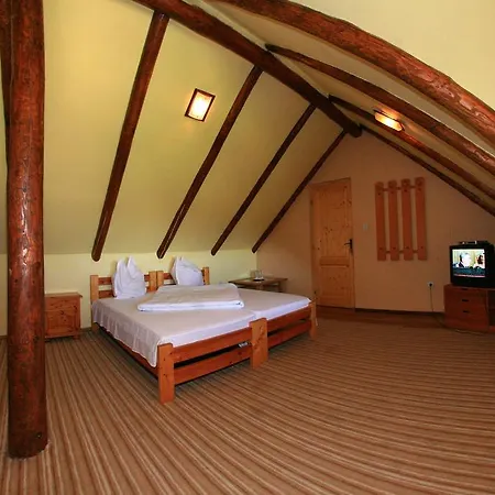 Pensionat Pensiunea Heracleea 3*