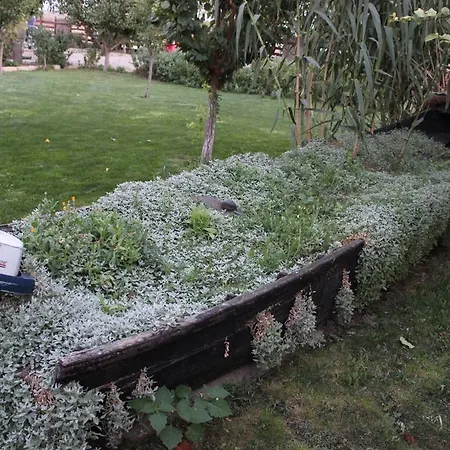 Maison d'hôtes Pensiunea Heracleea Jurilovca