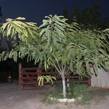 Maison d'hôtes Pensiunea Heracleea Jurilovca